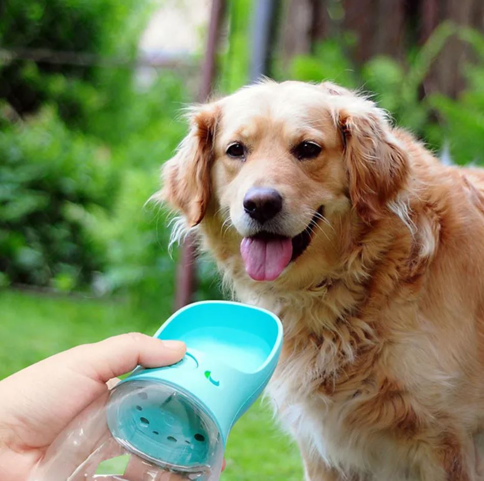 2 in 1  Haustiere  Wasserflasche